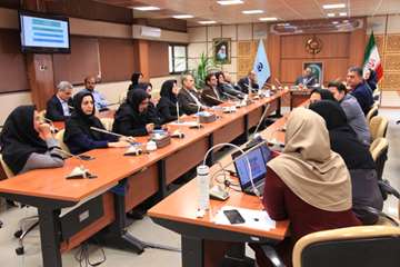 طرح تدوین گزینه های سیاستی حوزه توانبخشی مربوط به افراد دارای ناتوانی جسمی